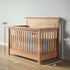 Romina Karisma Convertible Crib (Solid Panel)