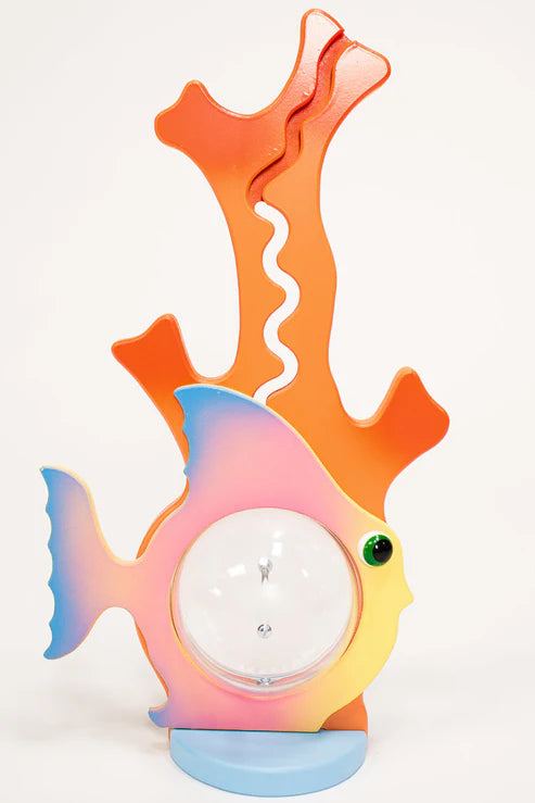 Big Belly Banks 20" Fish & Coral Reef