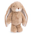 Bukowski Bears Friendly Kanini-Taupe