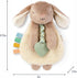 Itzy Ritzy Itzy Lovey Bunny