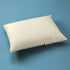 Moonlight Slumber Organic Toddler Pillow - Cover Only