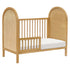 Babyletto Bondi Cane 3-in-1 Convertible Crib with Toddler Bed Conversion Kit | Lullabye Shop