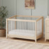 Babyletto Sprout 4-in-1 Convertible Crib with Toddler Bed Conversion Kit | Lullabye Shop