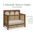 Namesake Eloise 4-in-1 Convertible Crib | Lullabye Shop