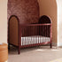 Babyletto Bondi Cane 3-in-1 Convertible Crib with Toddler Bed Conversion Kit | Lullabye Shop