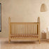 Babyletto Bondi Cane 3-in-1 Convertible Crib with Toddler Bed Conversion Kit | Lullabye Shop