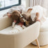 Babyletto x GATHRE Capsule Bassinet | Lullabye Shop