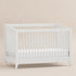 Babyletto Sprout 4-in-1 Convertible Crib with Toddler Bed Conversion Kit | Lullabye Shop