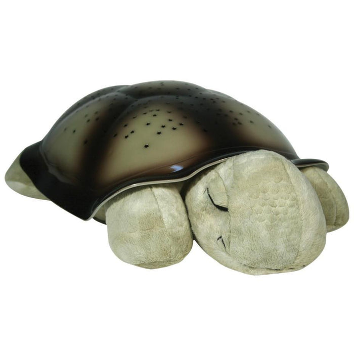 Cloud B Twilight Turtle
