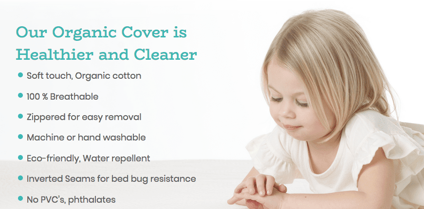 Bundle of Dreams Flagship 2 Stage Crib Mattress 6 Lullabye Shop